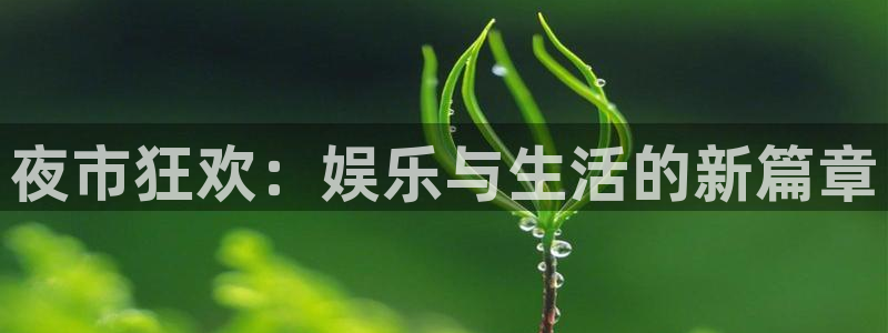 庄闲和游戏官网：夜市狂欢：娱乐与生活的新篇章
