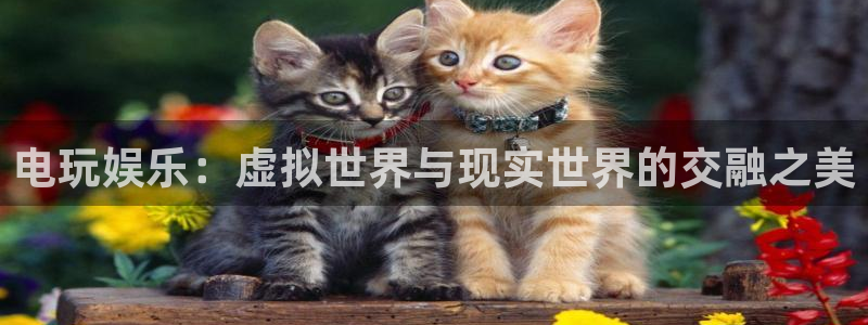 庄闲和游戏官网：电玩娱乐：虚拟世界与现实世界的交融之美