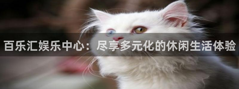 庄闲和游戏官网：百乐汇娱乐中心：尽享多元化的休闲生活体验