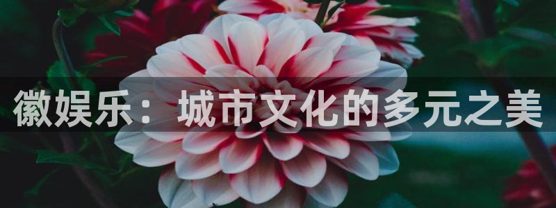 庄闲和游戏官网：徽娱乐：城市文化的多元之美
