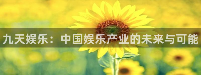 庄闲和游戏官网：九天娱乐：中国娱乐产业的未来与可能