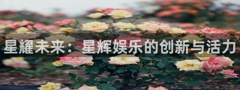 庄闲和游戏官网：星耀未来：星辉娱乐的创新与活力