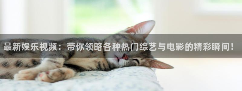 庄闲和游戏官网：最新娱乐视频：带你领略各种热门综艺与电影的精彩瞬间！