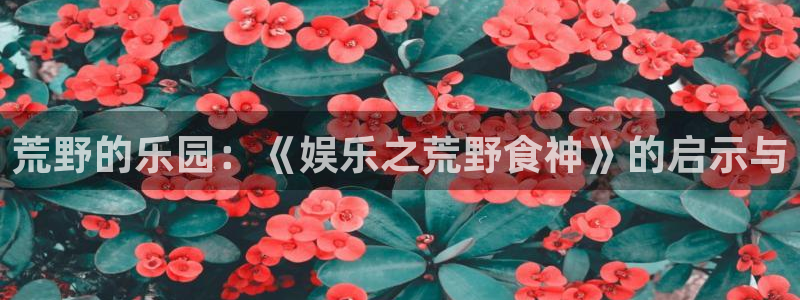 庄闲和游戏官网：荒野的乐园：《娱乐之荒野食神》的启示与