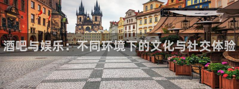 庄闲和游戏官网：酒吧与娱乐：不同环境下的文化与社交体验
