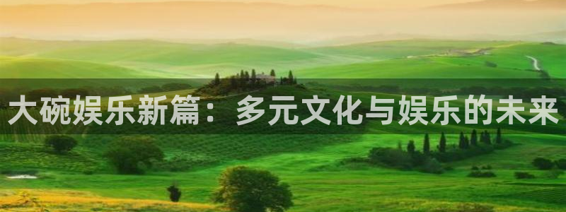 庄闲和游戏官网：大碗娱乐新篇：多元文化与娱乐的未来