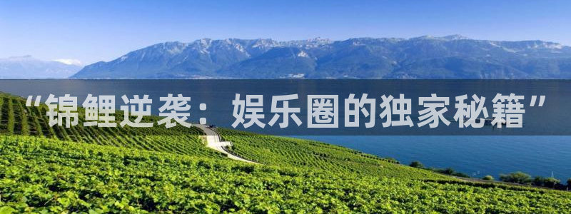 庄闲和游戏官网：“锦鲤逆袭：娱乐圈的独家秘籍”