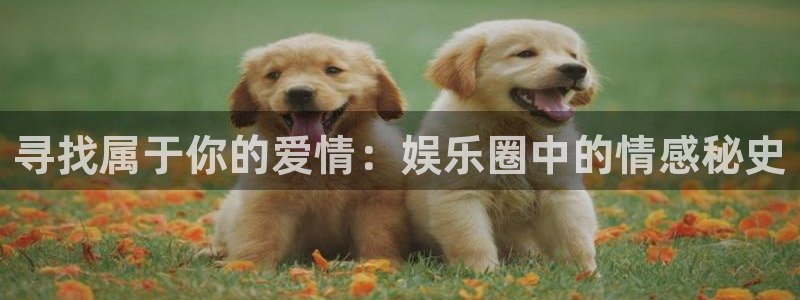 庄闲和游戏官网：寻找属于你的爱情：娱乐圈中的情感秘史