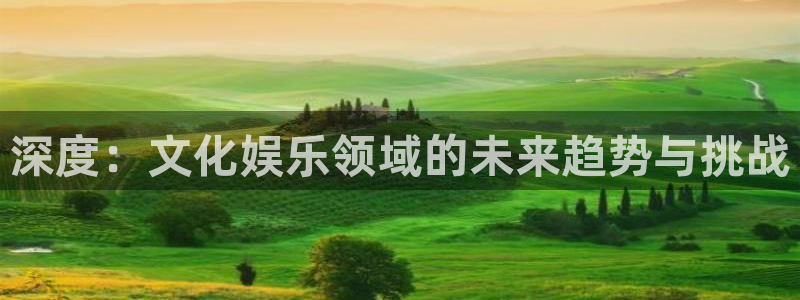 庄闲和游戏官网：深度：文化娱乐领域的未来趋势与挑战