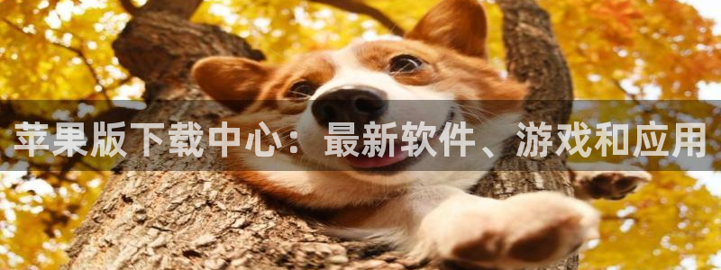 庄闲和游戏官网：苹果版下载中心：最新软件、游戏和应用