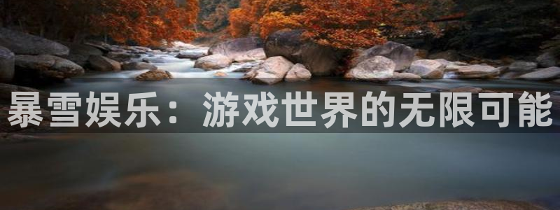 庄闲和游戏官网：暴雪娱乐：游戏世界的无限可能